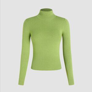 Cider Ribbed Knit Fitted Long Sleeve Turtleneck Top Apple Brat Green XL